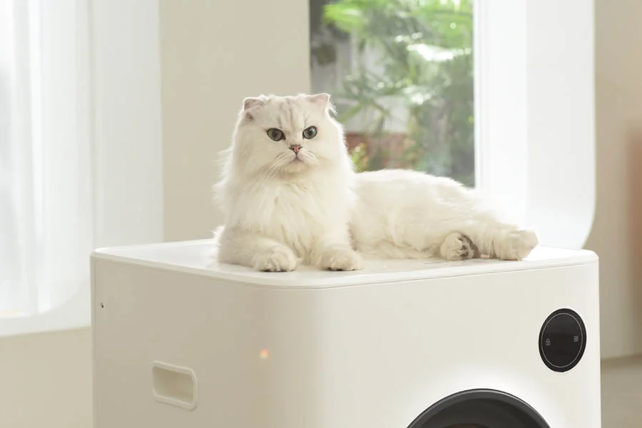 best self cleaning litter box for cats